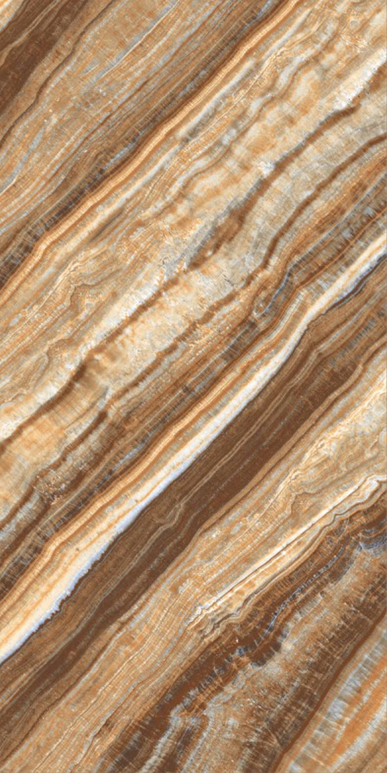 60x120 Glossy_page114_image1