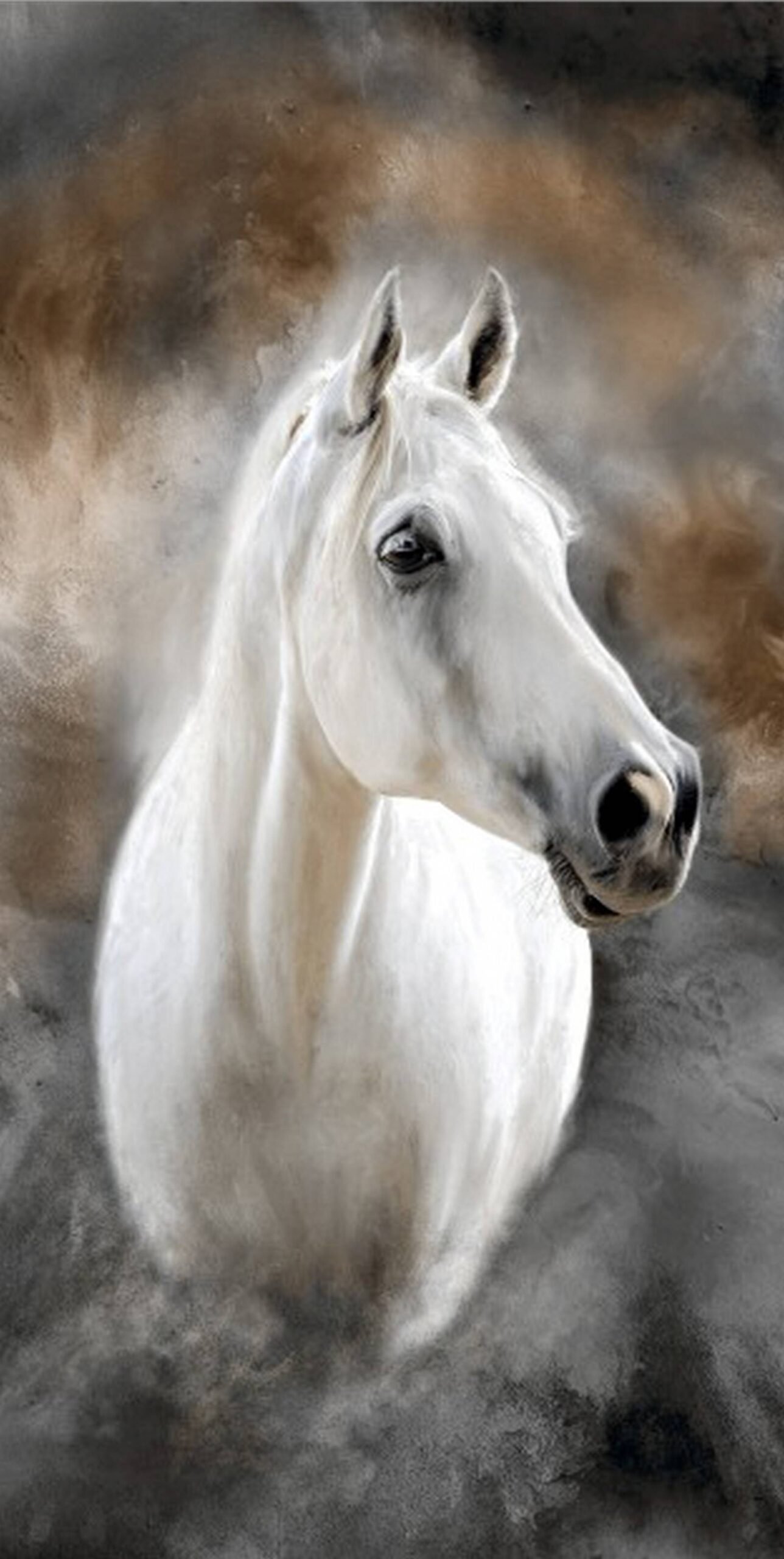 60x120 Glossy_page119_image5