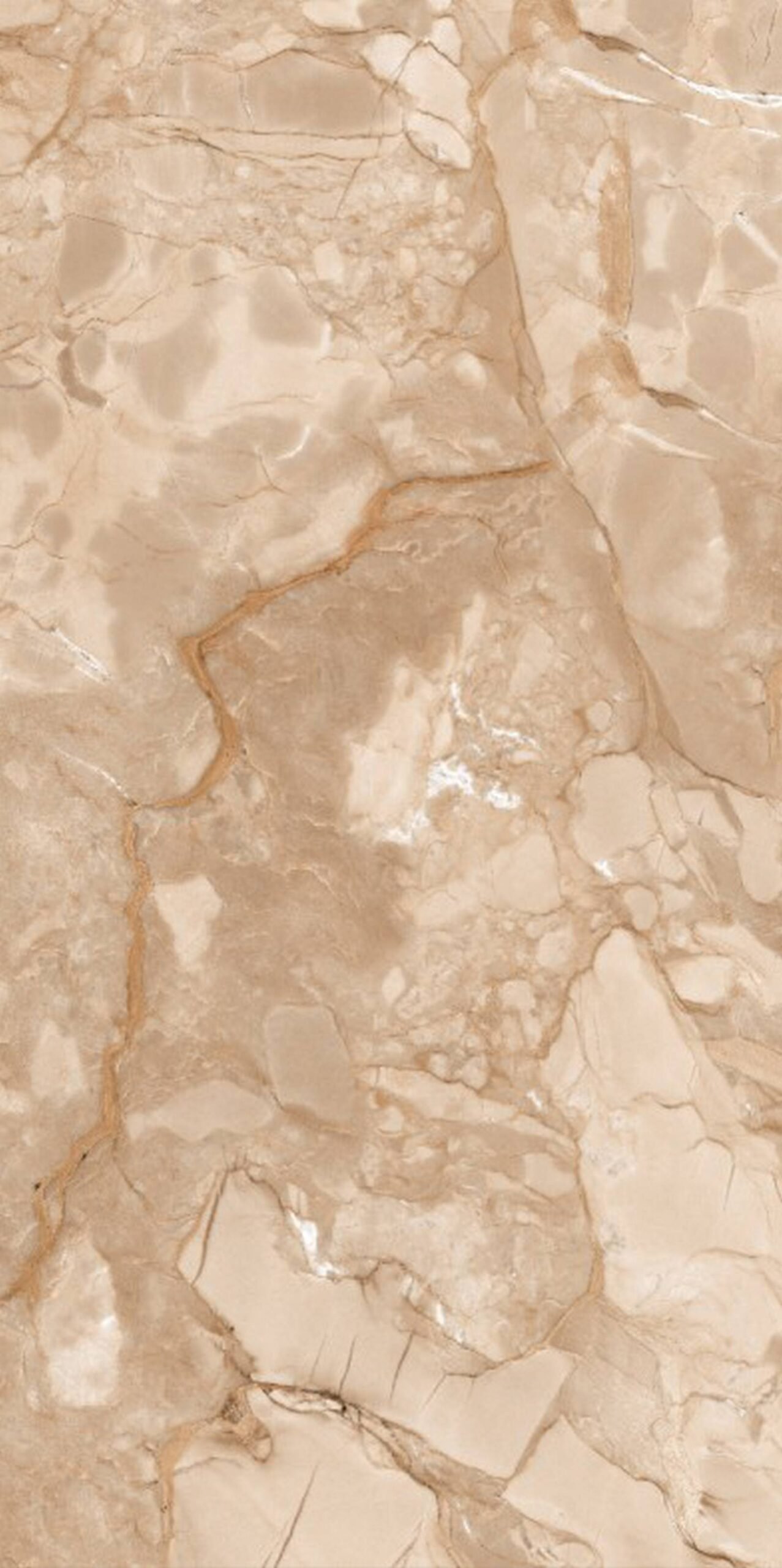 60x120 Glossy_page89_image1