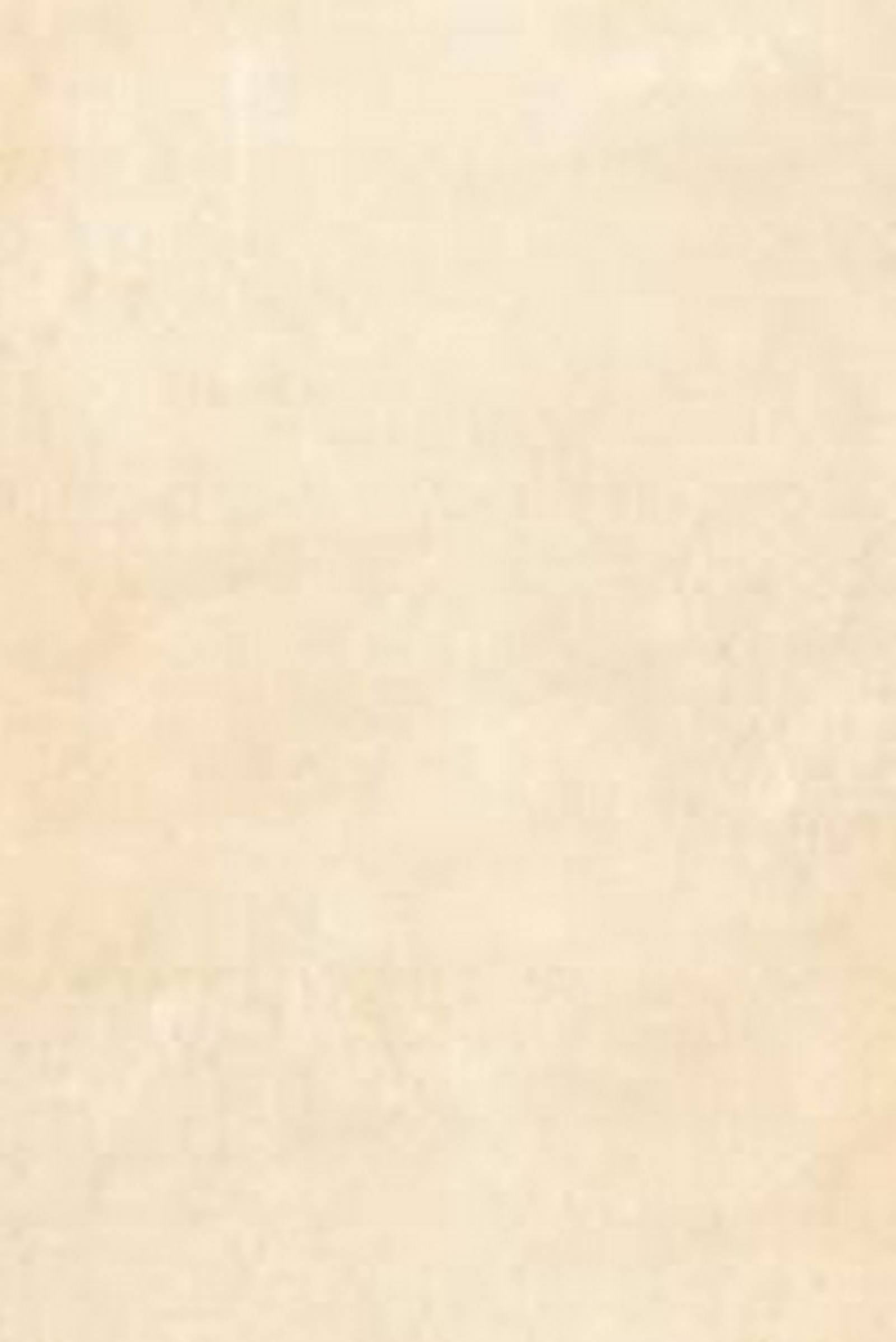 outdoor - tiles (52)